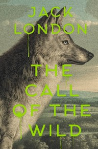 The Call of the Wild - Jack London - ebook
