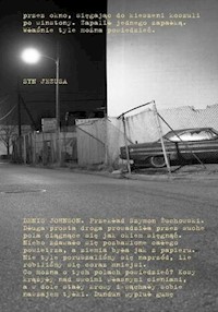 Syn Jezusa - Johnson Denis - ebook + książka