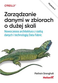 Zarządzanie danymi w zbiorach o dużej skali - Piethein Strengholt - książka