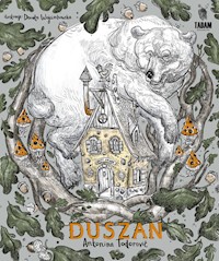 Duszan przygody prawie prawdziwe - Todorović Antonina - książka