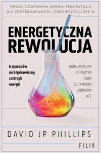 Energetyczna rewolucja - David JP Phillips - ebook
