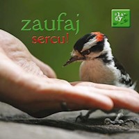 Ślady 4 Zaufaj sercu -  - książka