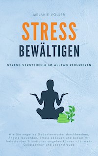 Stress bewältigen - Melanie Völker - ebook
