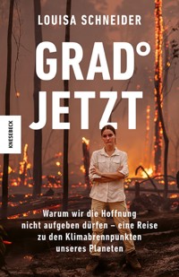 Grad jetzt - Louisa Schneider - ebook