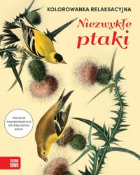 Kolorowanka relaksacyjna. Niezwykłe ptaki - zbiorowa praca - książka