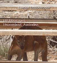 Lustige Stolpersteine - Christine Pfeiffer - ebook