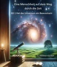 Hat das Universum ein Bewusstsein? - Silvia Himmer-Gurdan - ebook