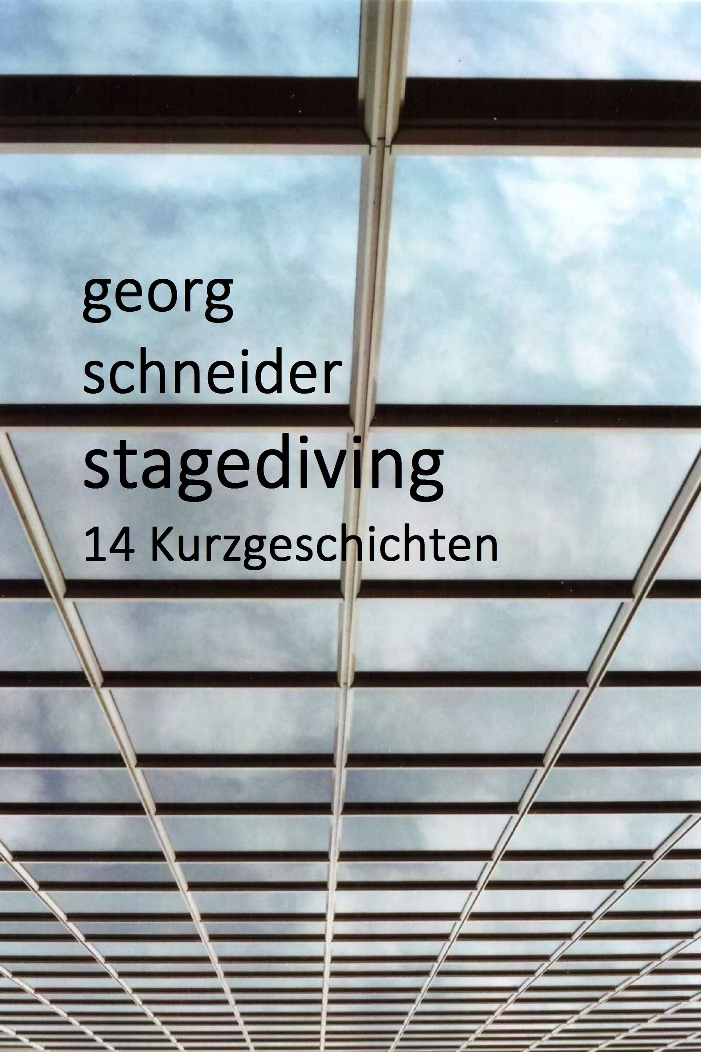 Stagediving - Georg Schneider - ebook