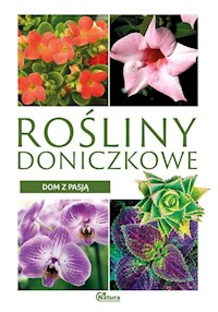 Dom z pasją. Rośliny doniczkowe - Ulanowski Krzysztof - książka