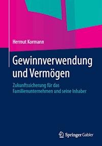 Gewinnverwendung und Vermögen - Hermut Kormann - ebook