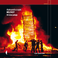 Belfast. 99 ścian pokoju - Aleksandra Łojek - ebook + audiobook