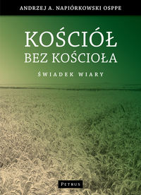 Kościół bez kościoła - Napiórkowski Andrzej - książka