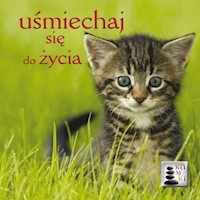 Kamyki 4 Uśmiechaj się do życia -  - książka