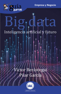 GuíaBurros Big data - Víctor Berástegui - ebook
