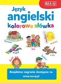 Język angielski - kolorowe słówka MP3 - Samalikova Pavlina - książka