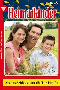 Als das Schicksal an die Tür klopfte - Steffi Seethaler - ebook