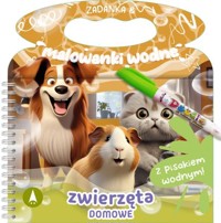 Zadanka & malowanki wodne. Zwierzęta domowe - Wioleta Żyłowska - książka