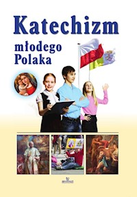 Katechizm młodego Polaka - Kosińska Beata - książka