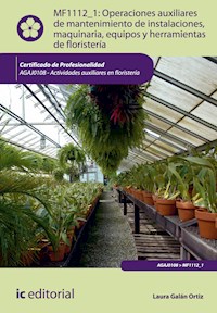Operaciones auxiliares de mantenimiento de instalaciones, maquinaria, equipos y herramientas de floristería. AGAJ0108 - Laura Galán Ortíz - ebook