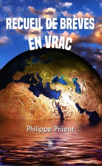 Recueil de brèves en vrac - Philippe Prijent - ebook