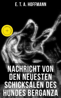 Nachricht von den neuesten Schicksalen des Hundes Berganza - Hoffmann E.T.A. - ebook