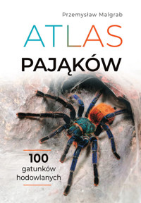 Atlas pająków - Malgrab Przemysław - książka