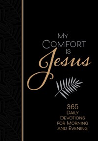 My Comfort Is Jesus - Ray Comfort - ebook