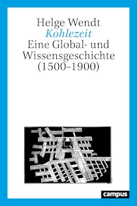 Kohlezeit - Helge Wendt - ebook