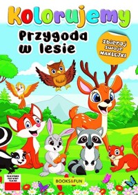 Kolorujemy Przygoda w lesie -  - książka