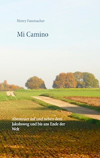 Mi Camino - Henry Fassmacher - ebook