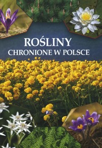 Rośliny chronione w Polsce - zbiorowa praca - książka