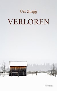 Verloren - Urs Zingg - ebook