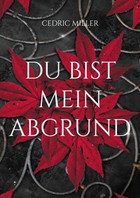 Du bist mein Abgrund - Cedric Miller - ebook