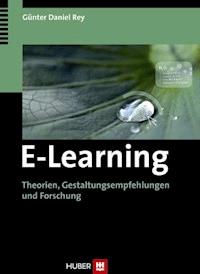 E-Learning - Günter D Rey - ebook