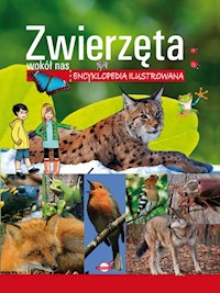 Zwierzęta wokół nas. Encyklopedia ilustrowana - Skrok Anna - książka