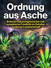 Ordnung aus Asche - Huber Florian - ebook