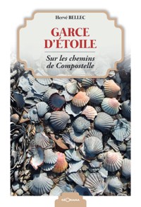 Garce d'étoile - Hervé Bellec - ebook
