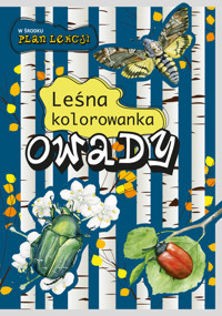 Owady. Leśna kolorowanka - Katarzyna Kopiec-Sekieta - książka