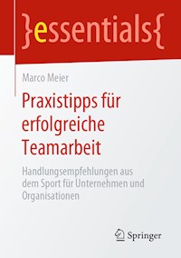 Praxistipps für erfolgreiche Teamarbeit - Marco Meier - ebook