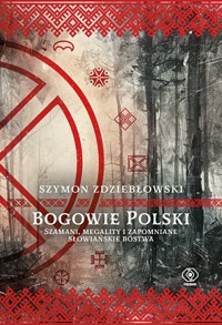 Bogowie Polski. Szamani, megality i zapomniane słowiańskie bóstwa - Szymon Zdziebłowski - ebook