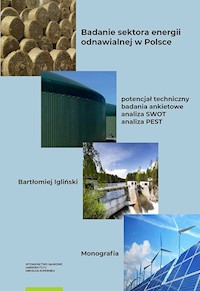 Badanie sektora energii odnawialnej w Polsce - Igliński Bartłomiej - książka