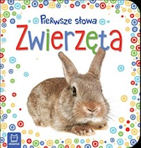 Pierwsze słowa maluszka Zwierzęta -  - książka