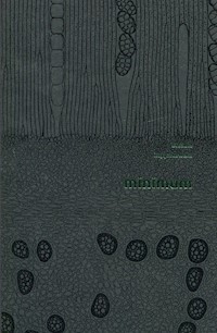 Minimum - Urszula Zajączkowska - książka