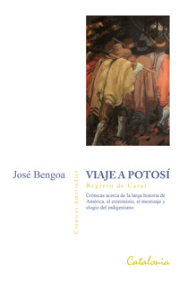 Viaje a Potosí - José Bengoa - ebook