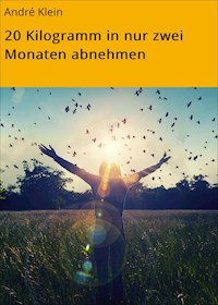 20 Kilogramm in nur zwei Monaten abnehmen - André Klein - ebook