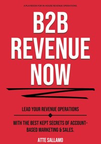 B2B Revenue NOW - Atte Sallamo - ebook