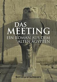 Das Meeting - Bernhard Schwarz - ebook