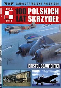 100 lat polskich skrzydeł Tom 34 -  - książka