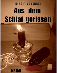 Aus dem Schlaf gerissen - Birgit Vobinger - ebook