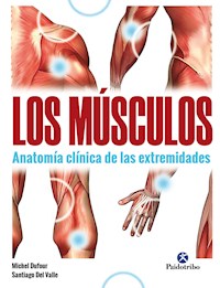 Los músculos - Michel Dufour - ebook